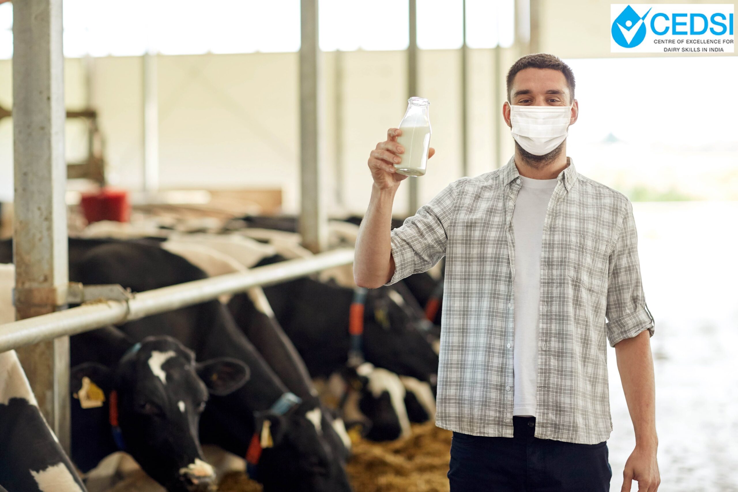 Dairy Cattle Diseases
